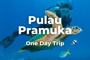 One Day Trip Pulau Pramuka Start Marina Ancol